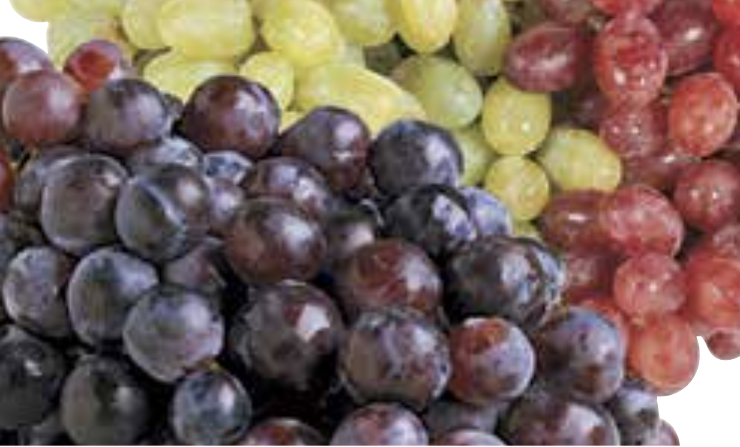 Red, Green or Black Seedless Grapes